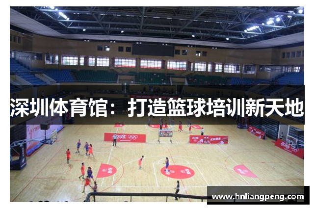 深圳体育馆：打造篮球培训新天地